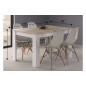 Mesa de comedor modelo Práctico. Disponible en varios colores