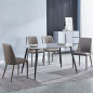 Conjunto mesa Sander + 4 sillas Rowena