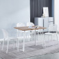 Conjunto mesa + 5 sillas Jansen
