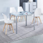 Mesa fija Flores + 4 sillas Fina