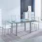 Mesa extendible Flores + 4 sillas mod.20