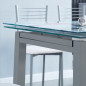 Mesa extendible Flores + 4 sillas mod.20