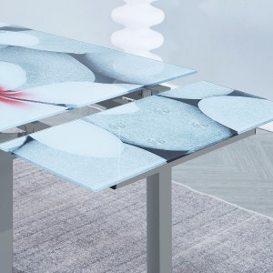 Mesa extensible Flores + 4 sillas Fina