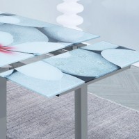 Mesa extensible Flores + 4 sillas Fina