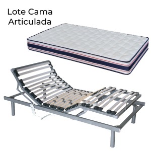 Lote de cama articulada