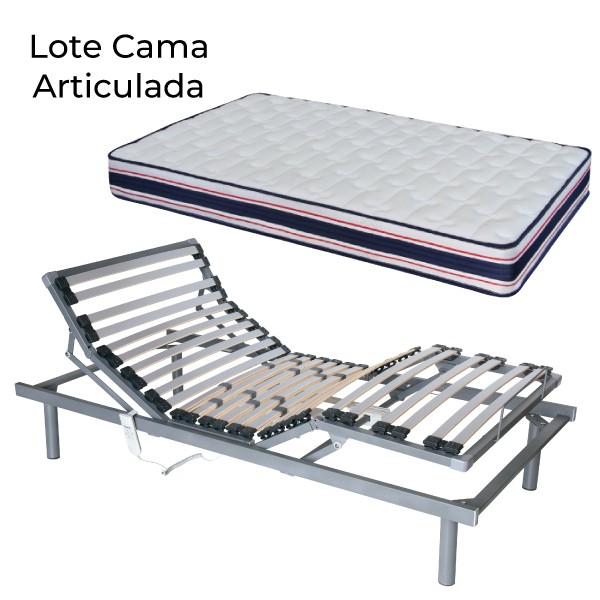 Lote de cama articulada