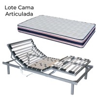Lote de cama articulada