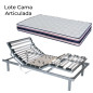 Lote de cama articulada