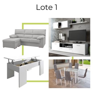 Lote Muebles 01