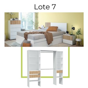 Lote muebles 07 EXPRESS
