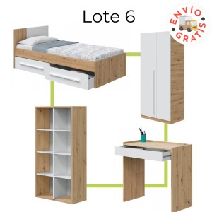 LOTE MUEBLES 06 EXPRESS