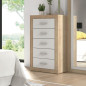 Lote muebles 04