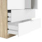 Armario Low 2p 2c Roble/ Blanco